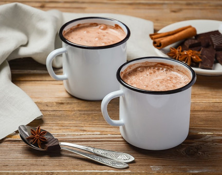 Boisson hyperprotéinée Cacao à l'Ancienne - 1