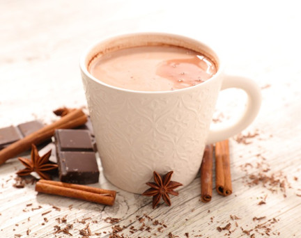 Boisson hyperprotéinée Chocolat Gourmand Sans Gluten - 1