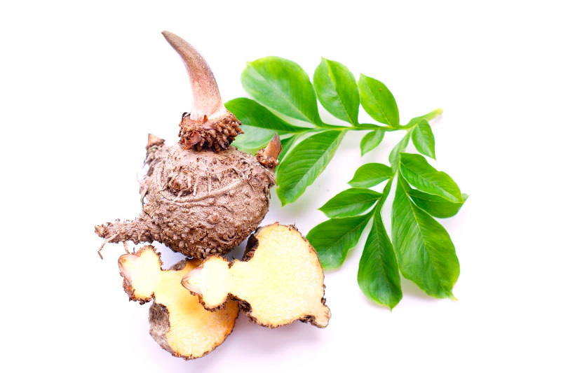 konjac-per-dimagrire-dieta-proteica