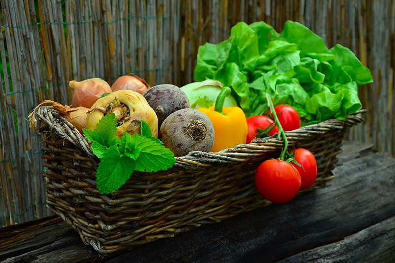 consommer des légumes régime hyperprotéiné pour perdre du poids