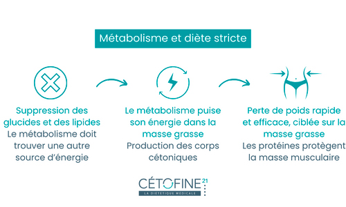 Quel est l'impact de la diète protéinée sur le métabolisme ?