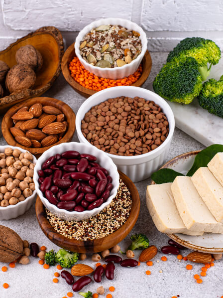 Plant protein list: the best sources for weight loss